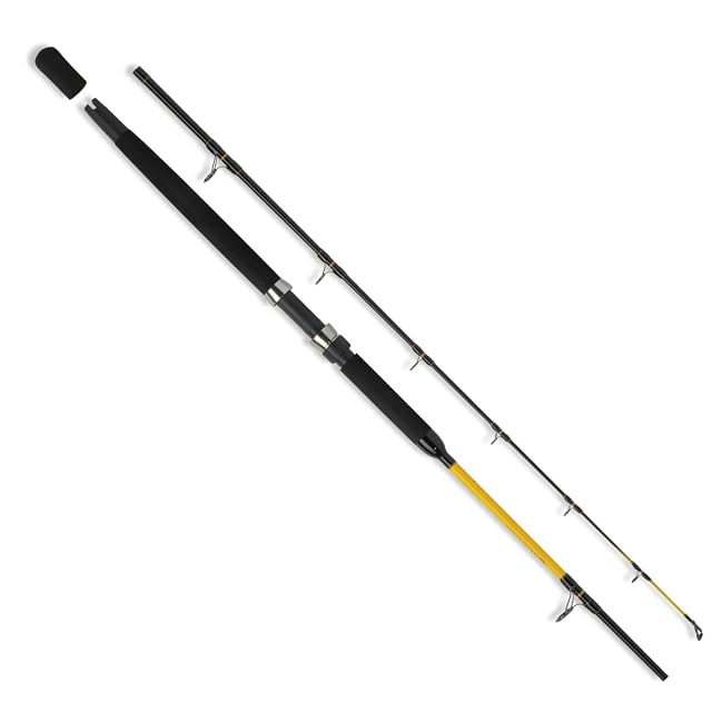 Canna da barca WFT Never Crack Fjordspin in due pezzi con portamulinello a vite